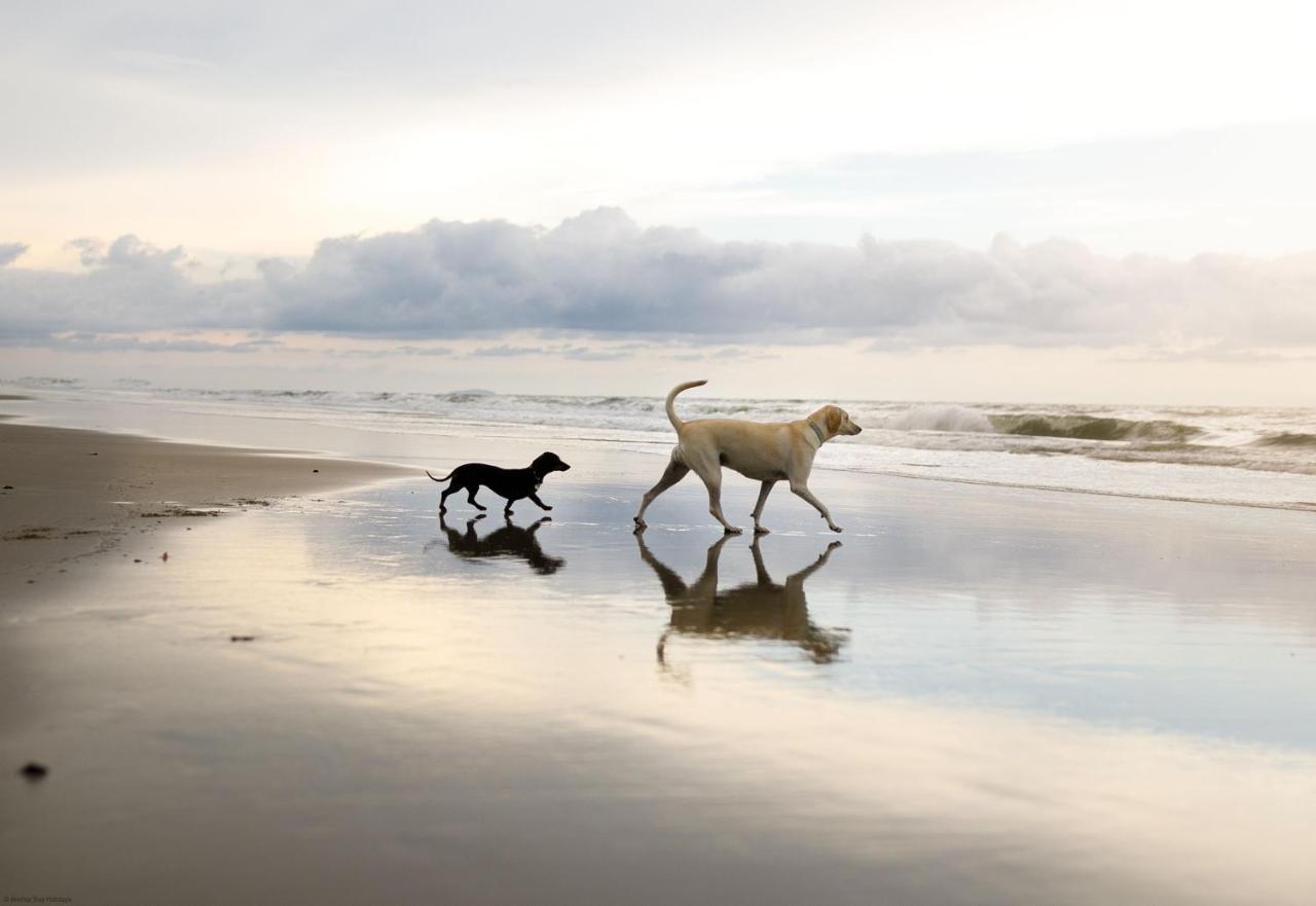 Echo Beach Filey Luaran gambar